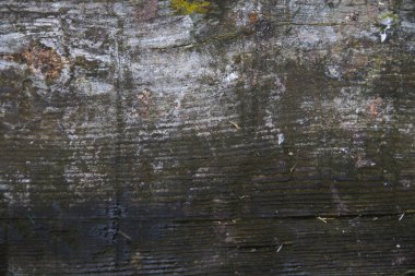 Ahşap doku arkaplanı