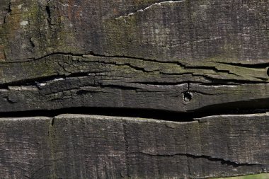 Ahşap doku arkaplanı