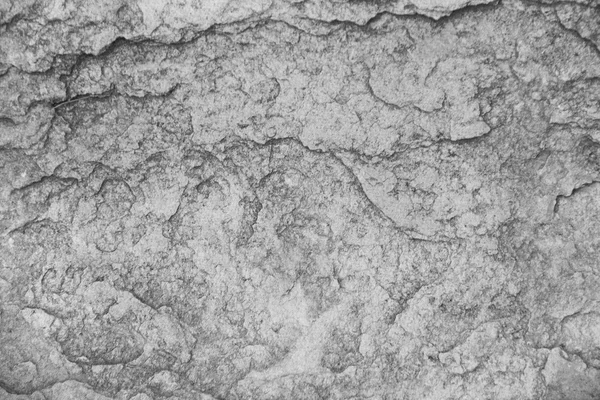 Stone texture background — Stock Photo, Image