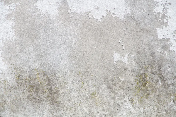 Cement texture background — Stock Photo, Image