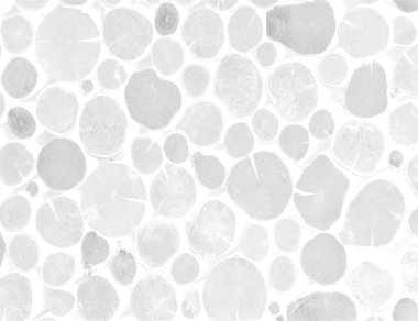 Ahşap doku arkaplanı