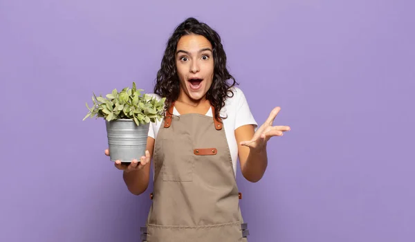 Ung Latinamerikansk Kvinna Känner Sig Extremt Chockad Och Överraskad Orolig — Stockfoto