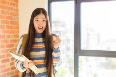 Genç Asyalı kadın şaşkın, heyecanlı ve mutlu hissediyor, gülüyor ve başarıyı kutluyor,!