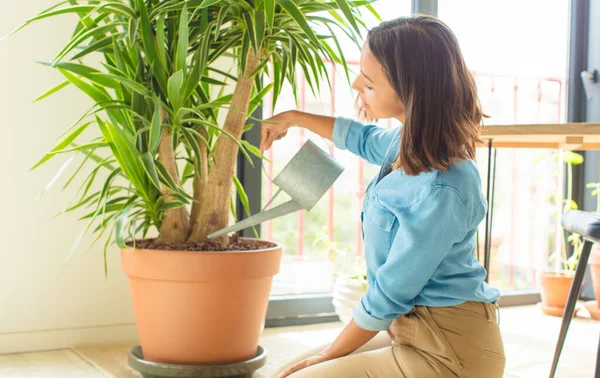 家に植物を持つ若い女性は — ストック写真