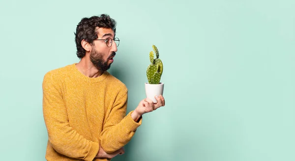 Fiatal Őrült Szakállas Férfi Kezében Egy Kaktusz Ház Növény — Stock Fotó