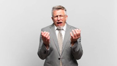 Kıdemli işadamı umutsuz ve hayal kırıklığına uğramış görünüyor, stresli, mutsuz ve sinirli, bağırıyor ve çığlık atıyor.