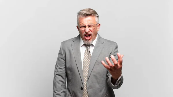 Senior Businessman Looking Angry Annoyed Frustrated Screaming Wtf Whats Wrong — Stock Photo, Image