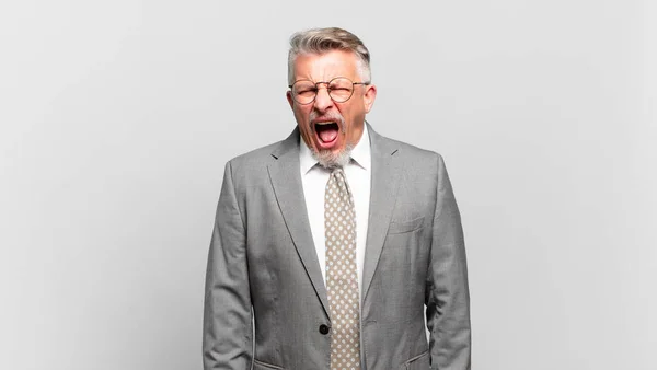 Senior Businessman Shouting Aggressively Looking Very Angry Frustrated Outraged Annoyed — Stock Photo, Image