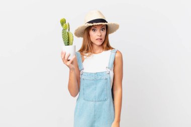 Şaşkın, kafası karışmış ve elinde kaktüs bitkisi tutan güzel bir kadın.