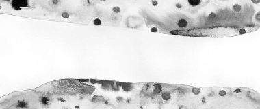 Şekil olarak soyut siyah pankart. suluboya etkisi