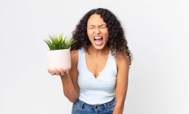 İspanyol asıllı güzel bir kadın agresif bir şekilde bağırıyor, çok kızgın görünüyor ve elinde bir çiçek tutuyor.