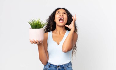 İspanyol asıllı güzel bir kadın ellerini havaya kaldırıp bağırıyor ve elinde bir çiçek tutuyor.