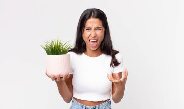 Genç İspanyol kadın kızgın, sinirli ve hayal kırıklığına uğramış görünüyor ve elinde dekoratif bir ev bitkisi tutuyor.