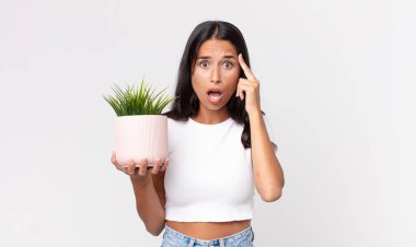 Genç İspanyol kadın şaşırmış görünüyor, yeni bir düşünce, fikir ya da konsept buluyor ve elinde dekoratif bir ev bitkisi tutuyor.
