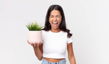 Genç İspanyol kadın agresif bir şekilde bağırıyor, çok kızgın görünüyor ve elinde dekoratif bir ev bitkisi tutuyor.