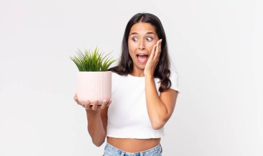 Genç İspanyol kadın mutlu, heyecanlı ve şaşırmış hissediyor ve elinde dekoratif bir ev bitkisi tutuyor.