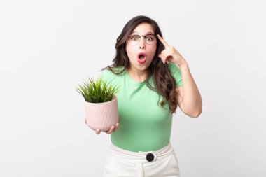Güzel kadın şaşırmış görünüyor, yeni bir düşünce, fikir ya da konsept fark ediyor ve elinde dekoratif bir bitki tutuyor.