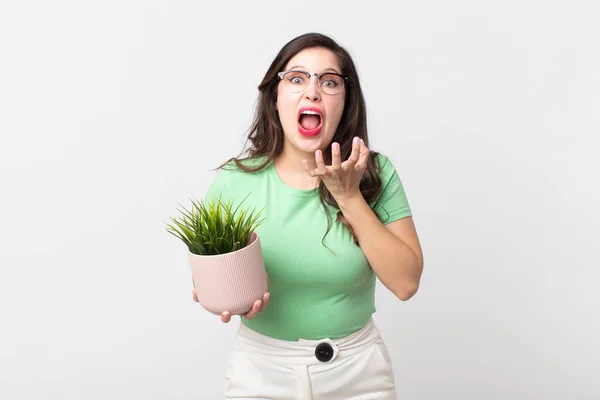 Bonita Mulher Olhando Desesperado Frustrado Estressado Segurando Uma Planta Decorativa — Fotografia de Stock