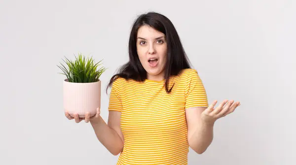 Mulher Bonita Sentindo Extremamente Chocado Surpreso Segurando Uma Planta Decorativa — Fotografia de Stock