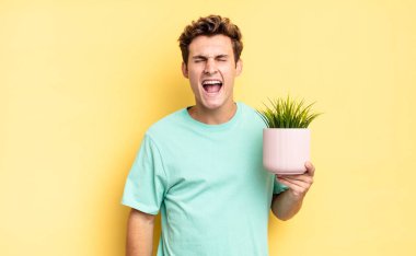 Saldırgan bir şekilde bağırmak, çok kızgın, sinirli, öfkeli ya da sinirli görünmek, hayır diye bağırmak. dekoratif bitki konsepti