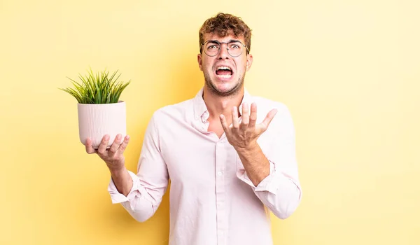 Jeune Homme Beau Air Désespéré Frustré Stressé Concept Plante Décorative — Photo