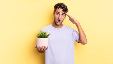 İspanyol yakışıklı adam mutlu, şaşkın ve şaşırmış görünüyor. dekoratif bitki konsepti