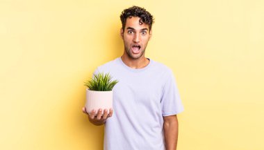 İspanyol yakışıklı adam çok şaşırmış ya da şaşkın görünüyor. dekoratif bitki konsepti
