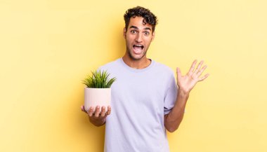 İspanyol yakışıklı adam kendini mutlu hissediyor ve inanılmaz bir şeye hayret ediyor. dekoratif bitki konsepti