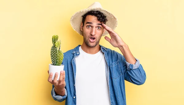 Hispanique Bel Homme Regardant Heureux Étonné Surpris Agriculteur Concept Cactus — Photo