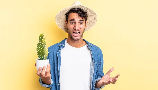Hispanic Handsome Man Looking Desperate Frustrated Stressed Farmer Cactus Concept — Stock Photo, Image