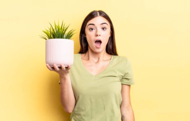 Genç İspanyol kadın çok şaşırmış ya da şok olmuş görünüyor. bitki otu konsepti