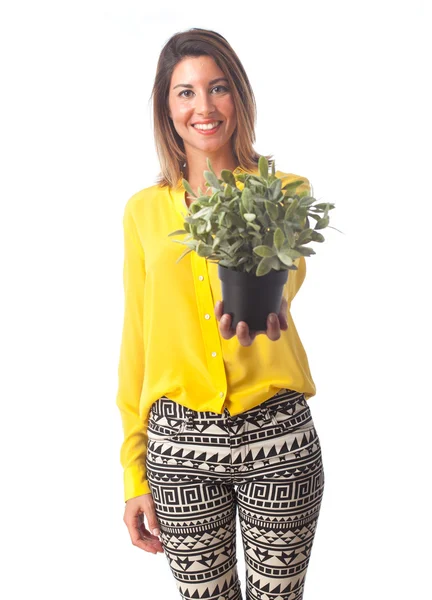 Młoda kobieta fajne z rośliną — Zdjęcie stockowe