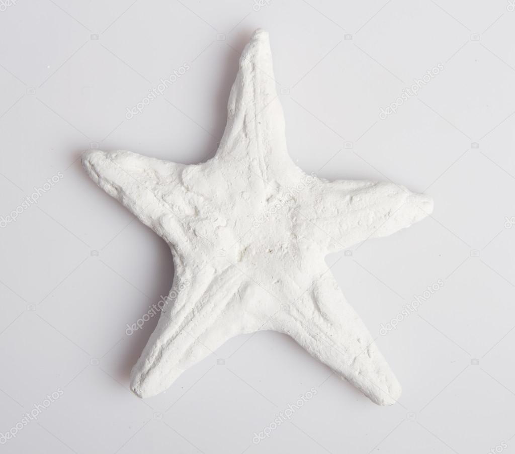 Close up sea starfish