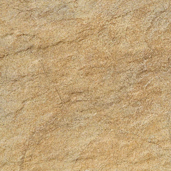 Warm fossil rock texture — Stock Photo, Image
