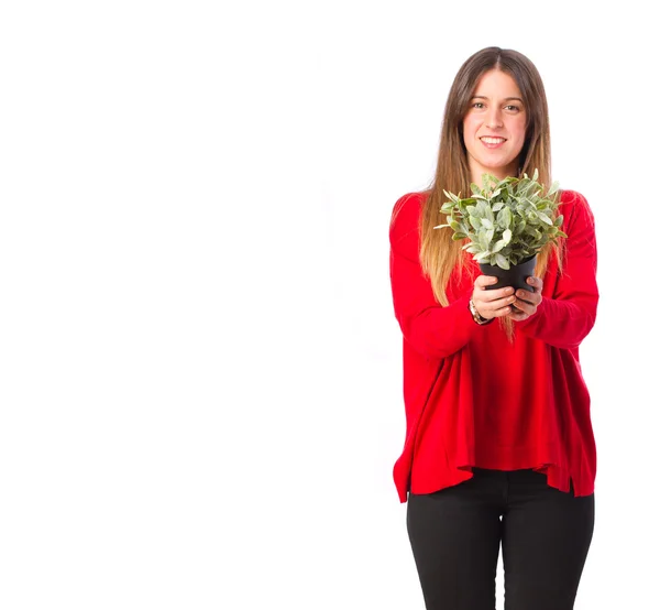 Молодая крутая девушка с растением — стоковое фото