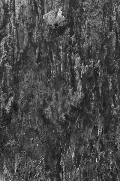 Textura de piedra negra —  Fotos de Stock