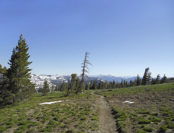 Mountain and grass — Stock Photo, Image