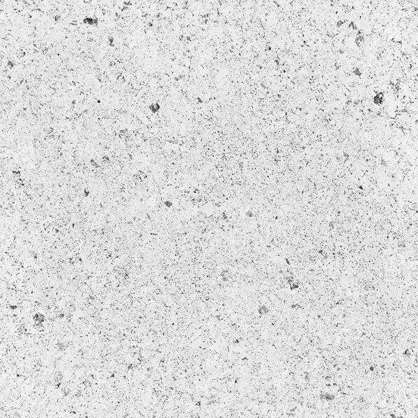 Conchas blancas textura fósil — Foto de Stock