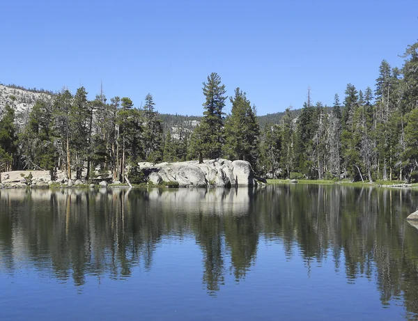 Jezero se stromy — Stock fotografie