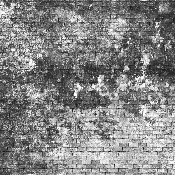 Grunge brick wall texture — Stock Photo, Image