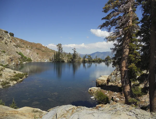 Trees and lake — Stock Photo, Image