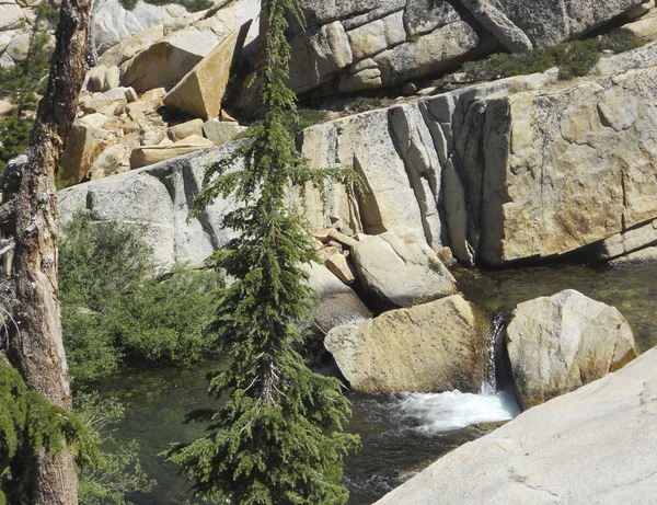 Rocce e alberi secchi — Foto Stock