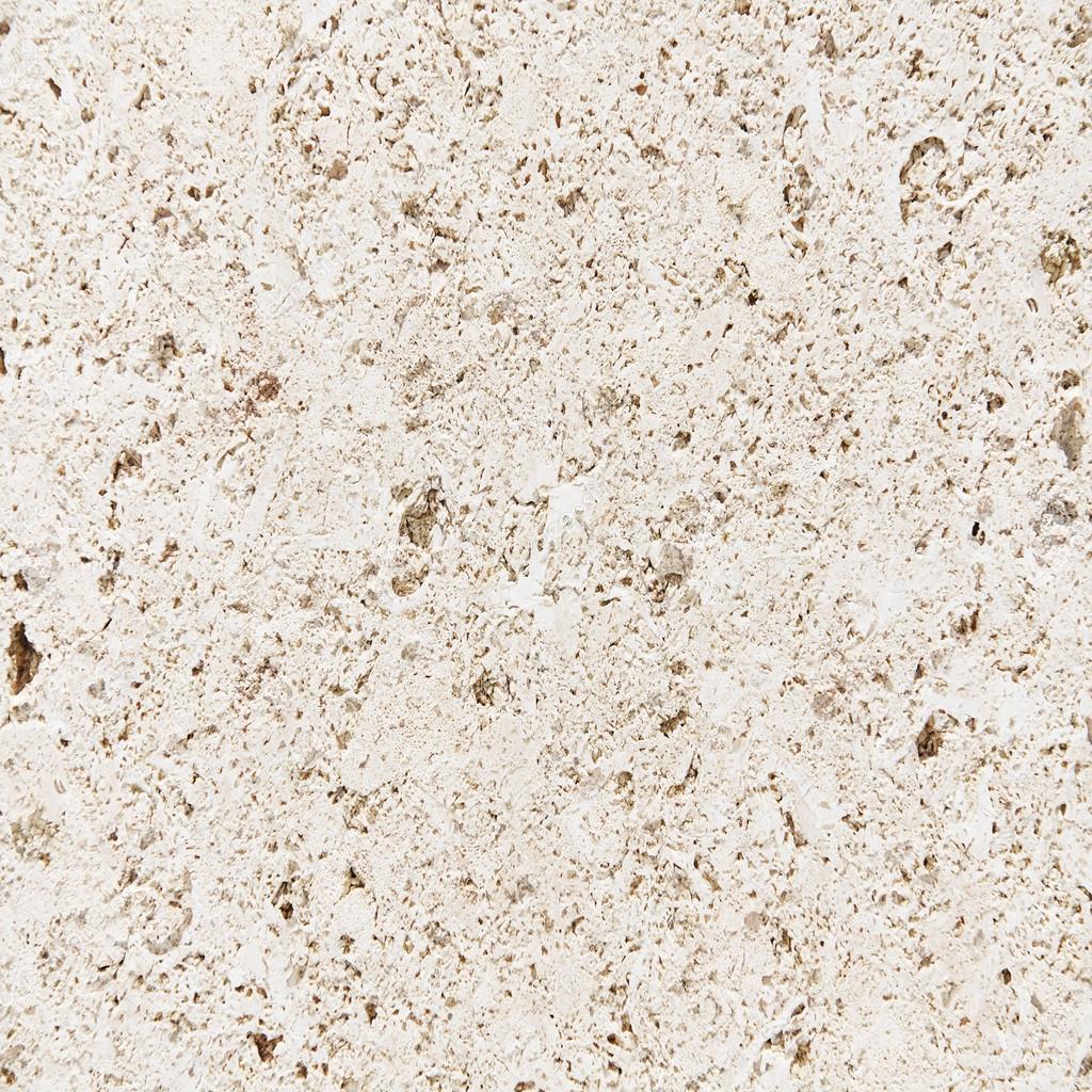 Stone shells fossil texture Stock Photo by ©kues 65275759