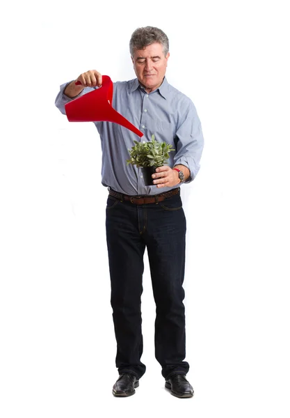 Man looking after a plant — Stock Photo, Image