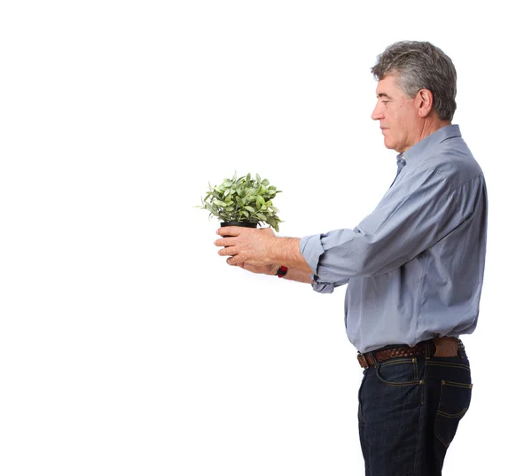 Glücklicher Mann bietet eine Pflanze an — Stockfoto