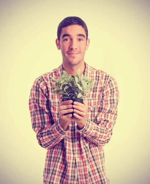 Young man offering a plant — Stock Photo, Image