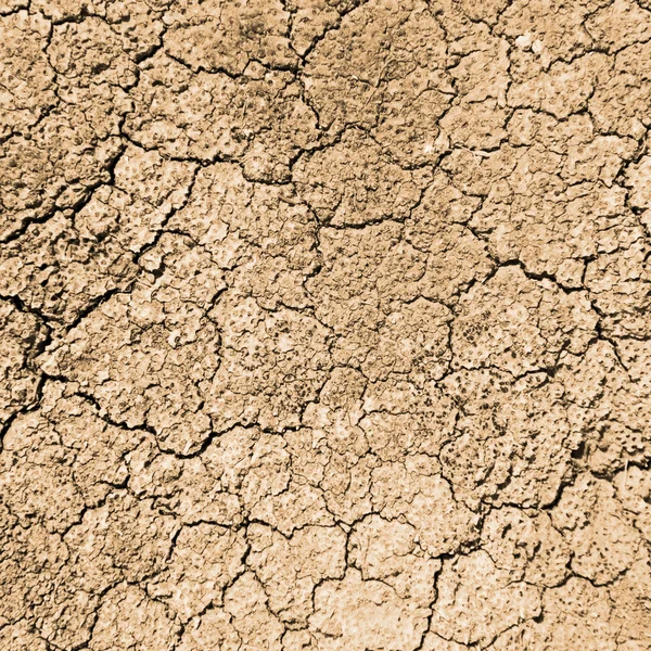 Dry ground texture or background — Stock Photo, Image