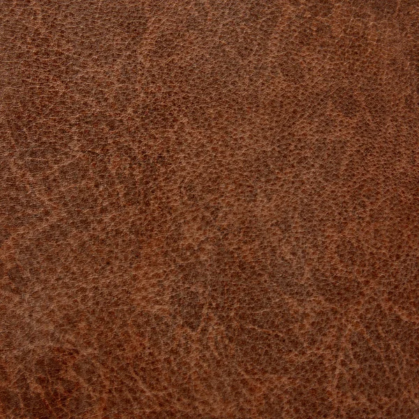 Brown leather abstract background or texture — Stock Photo, Image