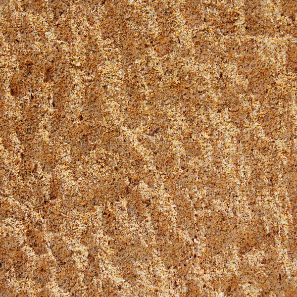 Texture de sable fossile — Photo