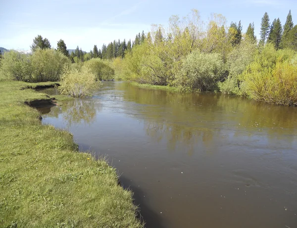 Landscape with river — Stock Photo, Image